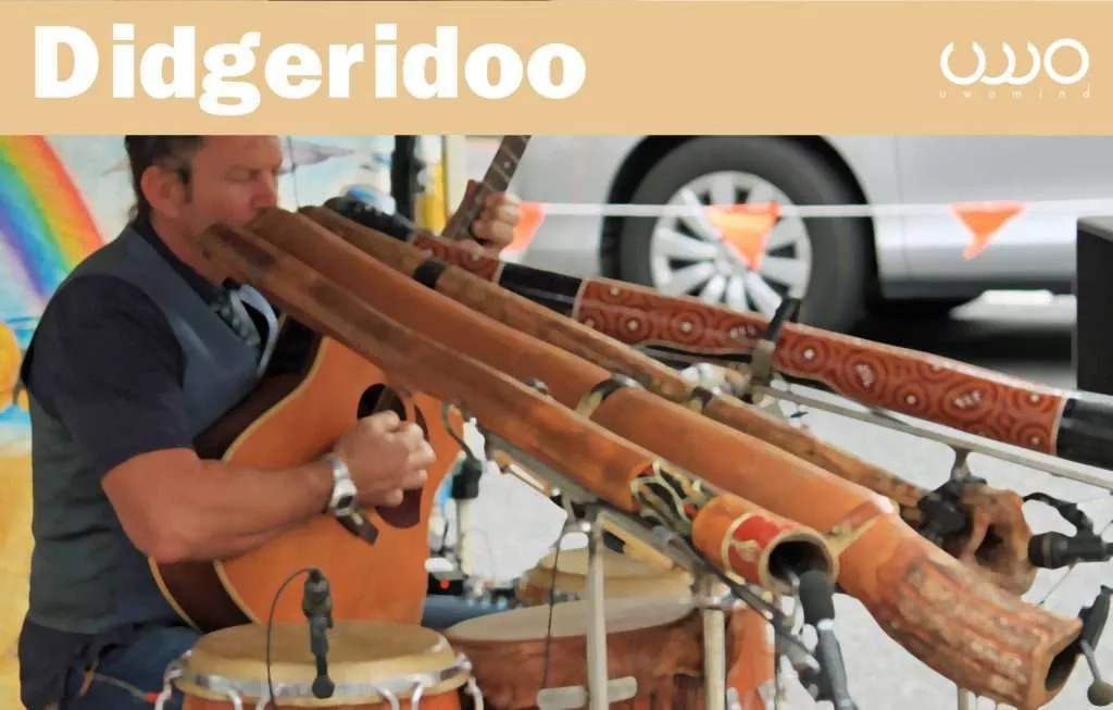 didgerido