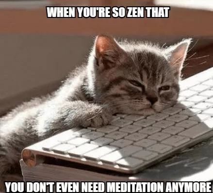 Meditation meme with cat social media character & funny quotes