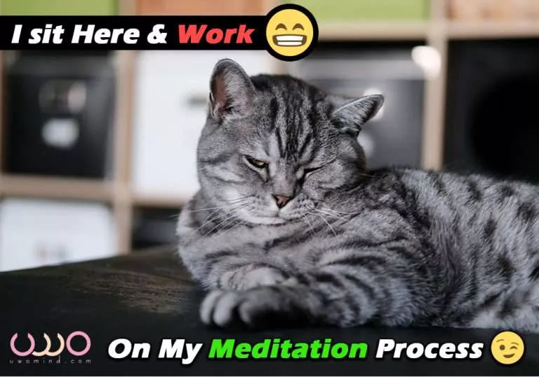 Meditation memes & Meditation quotes