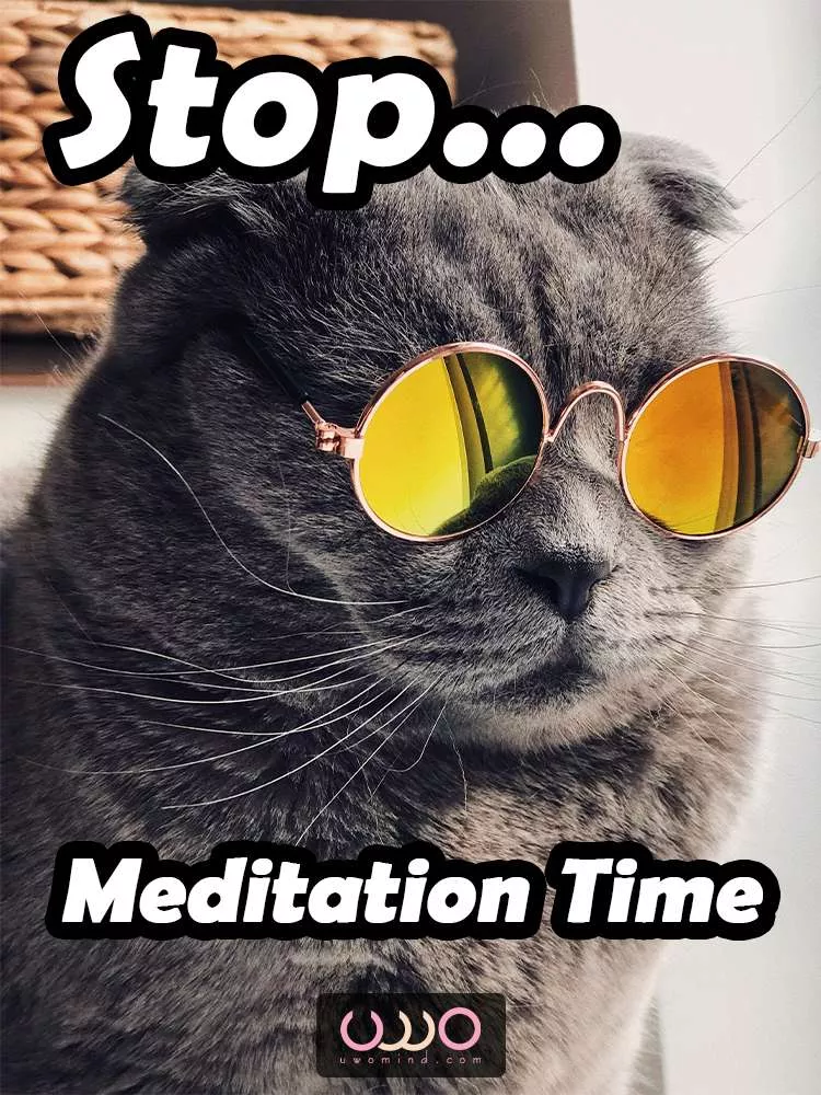 Meditation memes & Meditation quotes