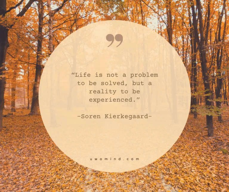 “Life is not a problem ‘ to be solved, but a i reality to be experienced.”