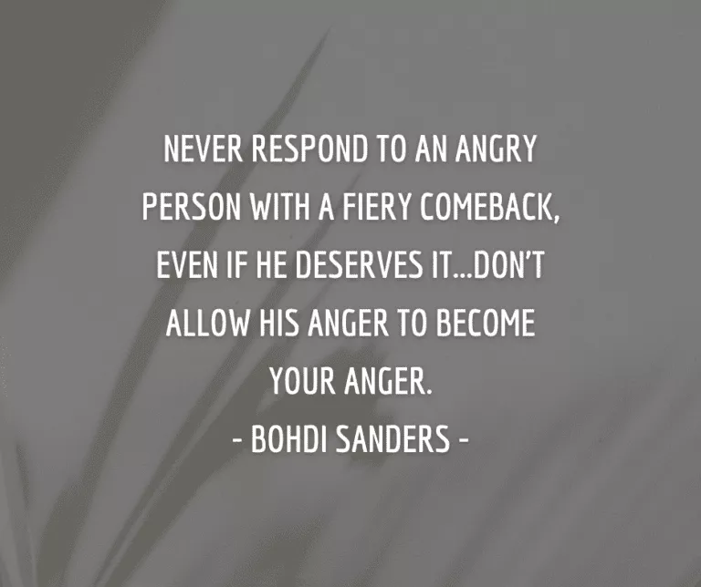 NEVER RESPOND TO AN ANGRY PERSON WITH A FIERY COMEBACK, EVEN IF HE DESERVES IT...DON'T ALLOW HIS ANGER TO BECOME YOUR ANGER. - BOHDI SANDERS -