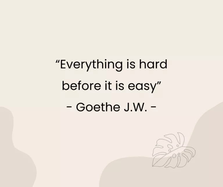 “Everything is hard before it is easy” - Goethe J.W. -