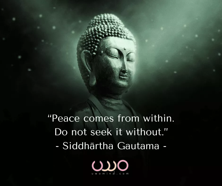 meditationquotes meditation happyquotes mindfulquotes meditation quotes freedom peacequotes peace mindful uwomind free lifequotes meditate relax buddhaquotes meditationpractice spiritualawakening oshoquotes meditationtime spirituality mindfulness meditationspace buddha #piritualgrowth sadhguruquotes rumiquotes healingvibrations innerwisdom mindfulnessmeditation buddhism thichnhathanh highfrequency osho keanureeves knowthyself denzelwashington meditationcoach bobmarley meditationteacher jimcarreyquotes plato yoga