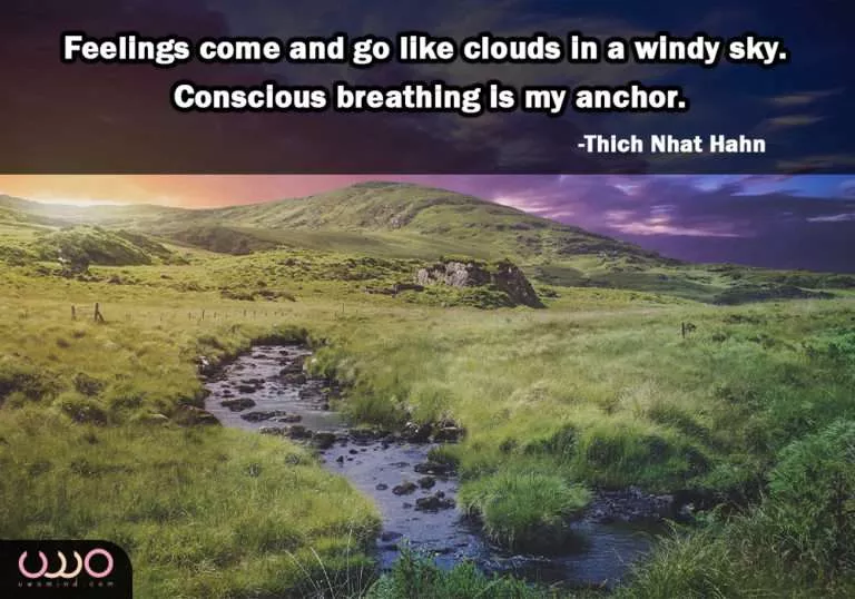 Feelings come and go like clouds in a windy sky. Conscious breathing is my anchor. -Thich Nhat Hahn