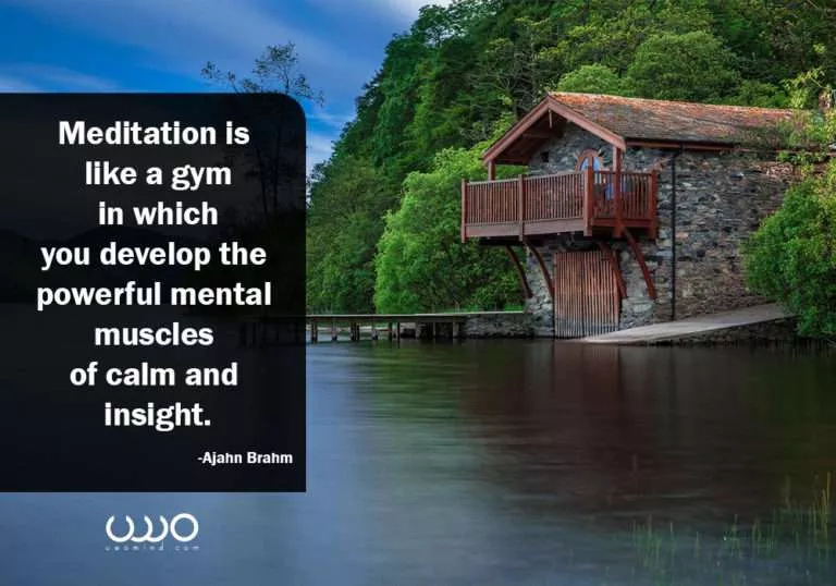 Meditation is like a gym in which you develop the powerful mental muscles of calmand insight. -Ajahn Brahm-