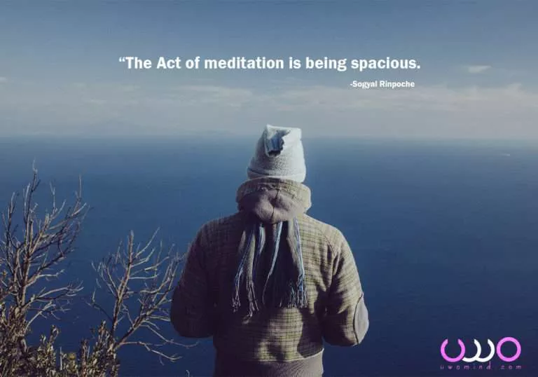 “The Act of meditation is being spacious. -Sogyal Rinpoche