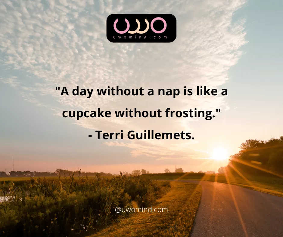"A day without a nap is like a cupcake without frosting." - Terri Guillemets.