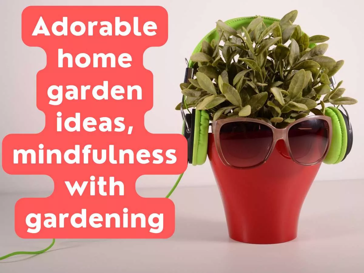 Adorable home garden ideas mindfulness with gardening