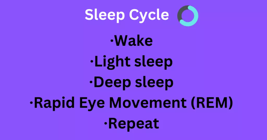 sleep cycle- wake, light sleep, deep sleep