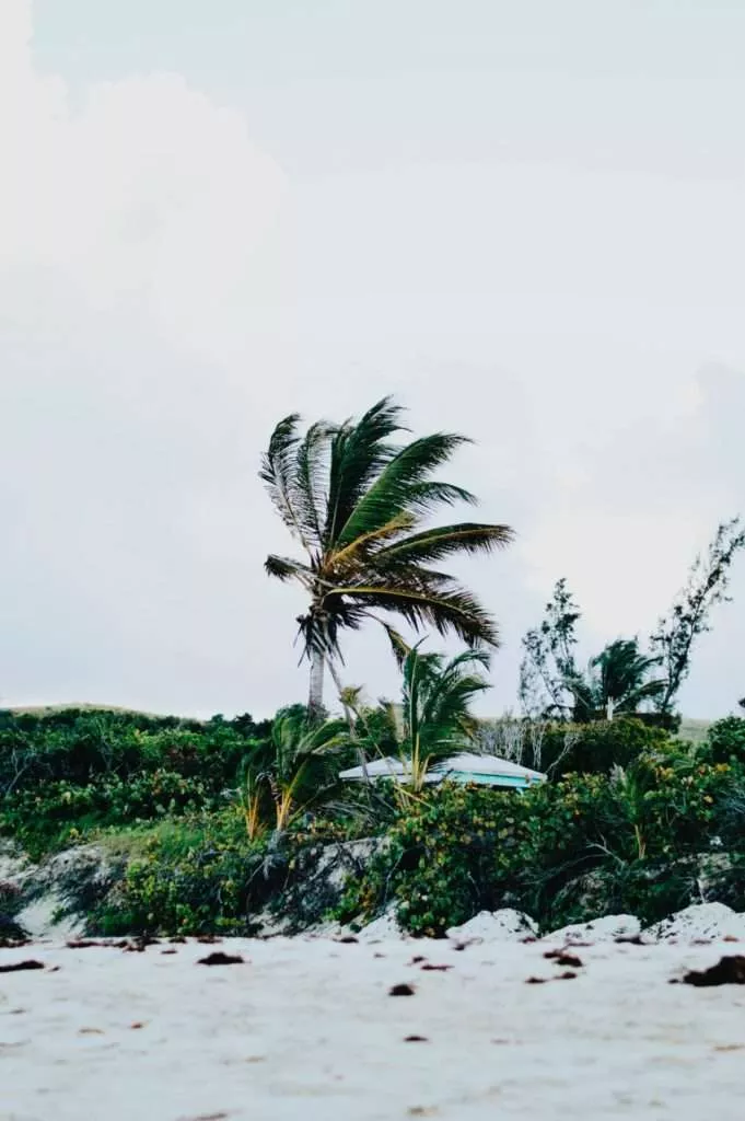 Flamenco Beach, Puerto Rico