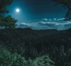 Lunar Lyricism: Inspiring Quotes About Moon